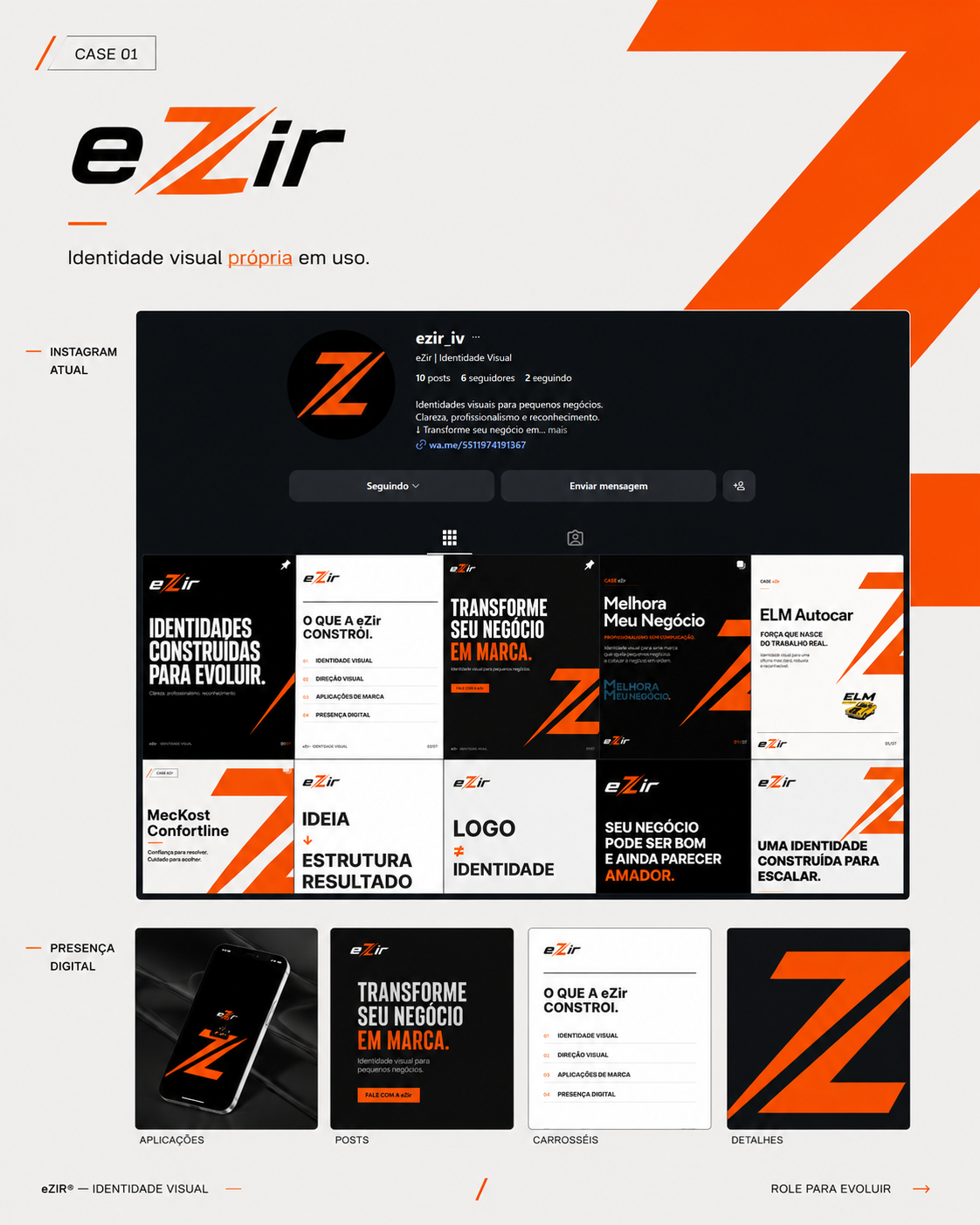 Elementos do sistema visual eZir baseados em diagonais, contraste e movimento